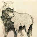 Mysan_
